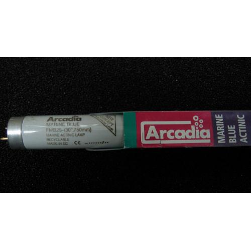 英國阿卡迪亞Arcadia 海水長效培養燈管MARINE BLUE ACTINIC T8 FL (25W)