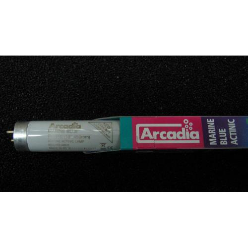英國阿卡迪亞Arcadia 海水長效培養燈管MARINE BLUE ACTINIC T8 FL (15W)