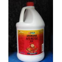 AZOO 龍泉菌(3800ml)