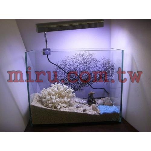 J&D高品質1尺水晶珊瑚照景缸(各式魚缸可接受訂製)