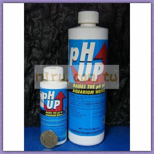 美國魚博士API PH提升劑、提高劑473ml