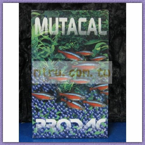 PRODAC博達克 MUTACAL軟水樹脂250g