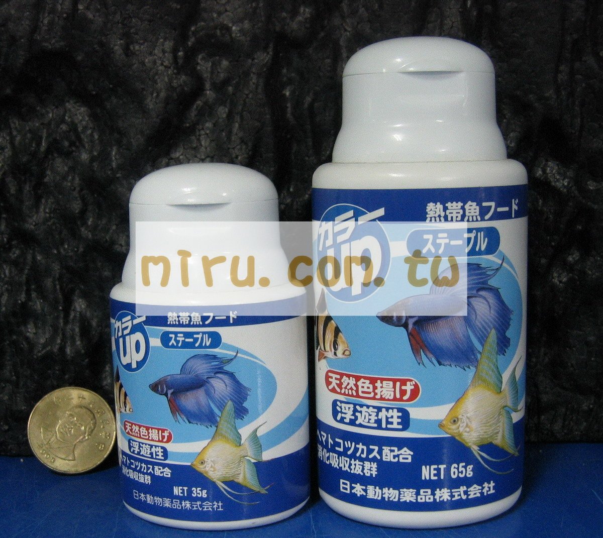 日本原裝jpd 健康管理飼料 揚藍色 揚紅色 35g Sss 小型魚 孔雀魚飼料 燈科魚 飼料 幼魚飼料 飼料 餵食設備 西高地水族 博偉水族寵物 水族用品批發專門店