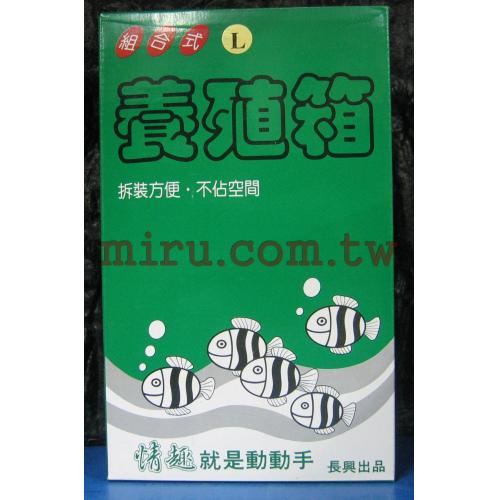>長興隔離 養殖 繁殖盒XL