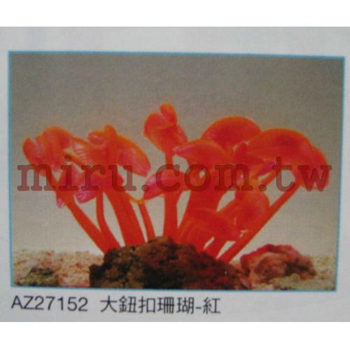 AZOO霓虹螢光珊瑚 大鈕釦珊瑚(紫,黃,紅,綠)