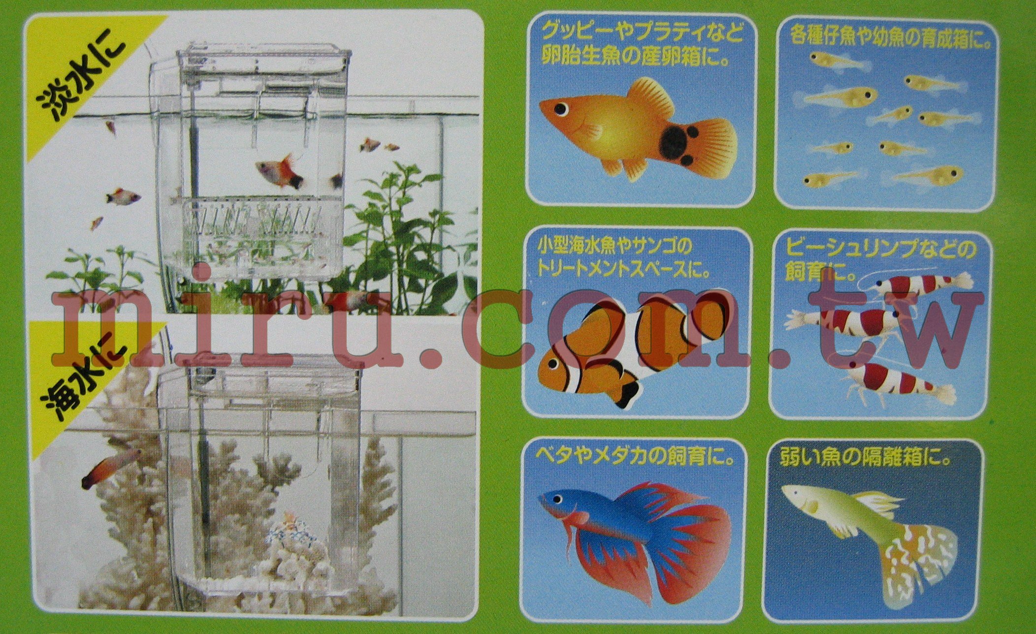 卸売り サテライト隔離箱産卵箱 淡水 海水用 Shipsctc Org