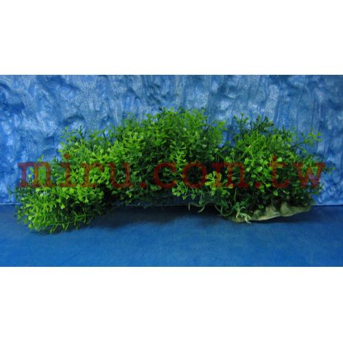  造景擺設 仿真水草- 水蘊草(可變換樣式)