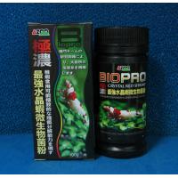 AZOO 愛族極濃縮 水晶蝦微生物菌粉100g 