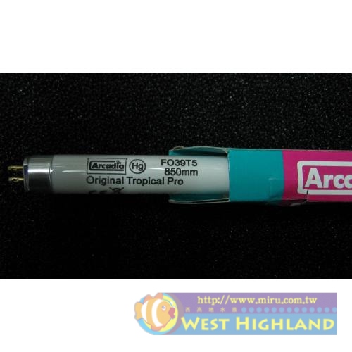 英國Arcadia阿卡迪亞 新超亮淡水鹵素燈管T5(54W)