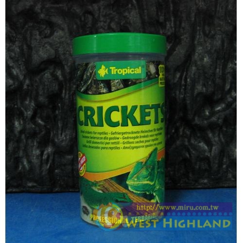 Tropical德比克高蛋白殺菌乾燥蟋蟀(250ml)龍魚.大型魚.變色龍.蛙類.蜥蜴.守宮