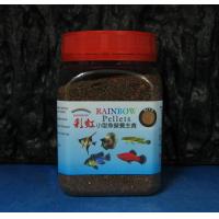 彩虹 小型魚 孔雀魚營養主食150g