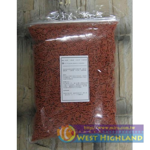 台灣絕色 龍魚 花羅漢 大型魚 肉條飼料