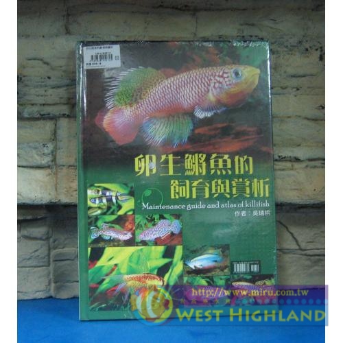 卵生將魚的飼育與賞析