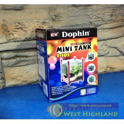 海豚Dophin《MINI TANK 迷你鬥魚缸-黑色 壓克力製鬥魚缸