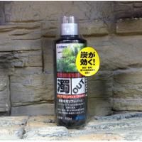 日本首藤SUDO 高性能活性炭溶液300ml