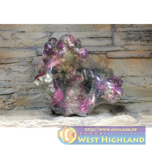 麥可代理LIVE ROCK REPLICA SERIES 活岩石 人工活石(20cm)L135