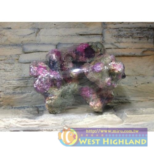 麥可代理LIVE ROCK REPLICA SERIES 活岩石 人工活石(35cm)L138