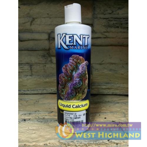 KENT 強效鈣質補充液(Calcium)補充液16oz
