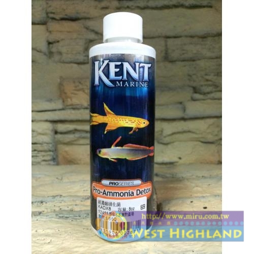 美國KENT 超濃縮硝化菌 8oz