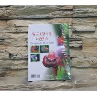 魚雜誌 書籍 展示級鬥魚的魅力The Shlerdid Show Betta S