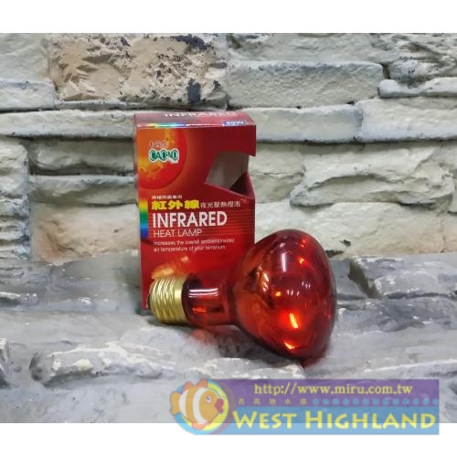 卡西諾CACINO 紅外線夜光聚熱燈泡50W