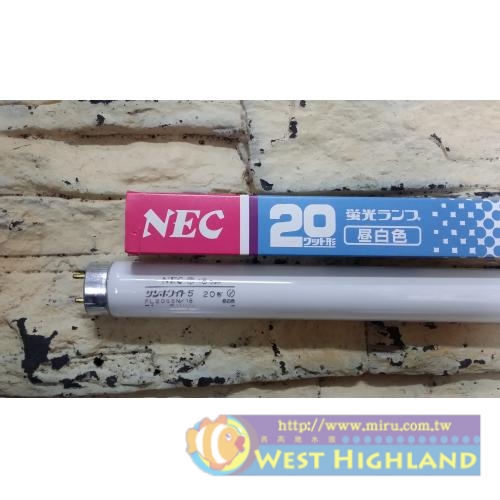 >日本原裝進口 NEC晝白燈管(20W)