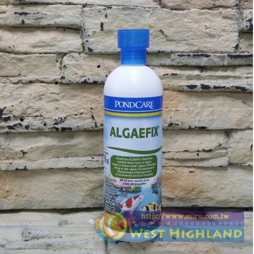 美國魚博士API 池塘除藻劑PONDCARE ALGAEFIX473ml