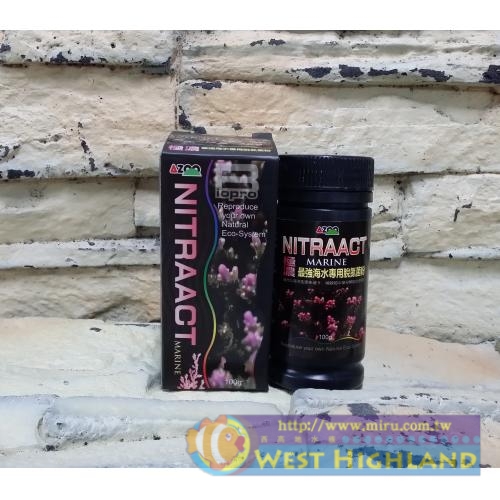 AZOO 愛族極濃縮 海水專用脫氮菌粉100g 
