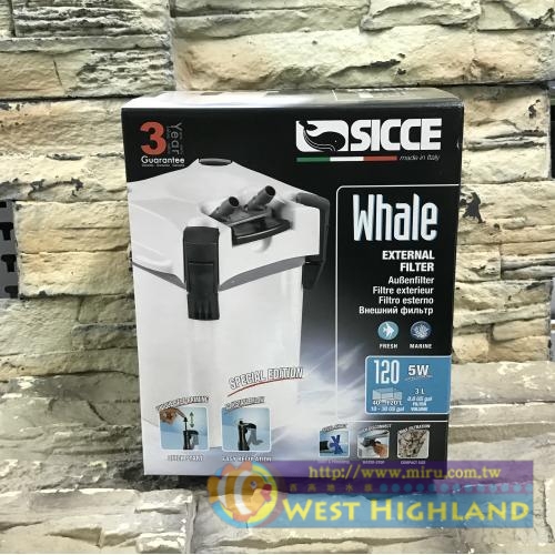 宗洋公司代理 義大利 SICCE 120圓桶外置過濾器560L/H