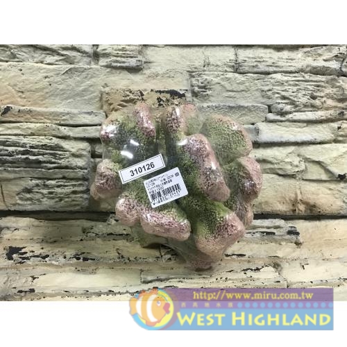 麥可代理LIVE ROCK REPLICA SERIES 活岩石 人工活石(22cm)L126