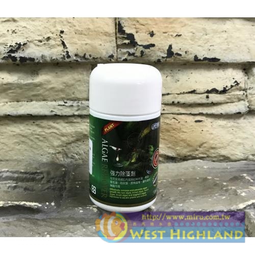 台灣ISTA-伊士達 優質強力除藻劑 120ml