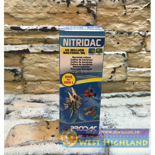 義大利PRODAC博達克 超強濃縮硝化菌液 100ml