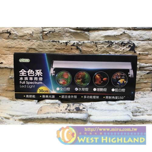 台灣 伊士達 ISTA 3代 全色系增豔燈30cm 