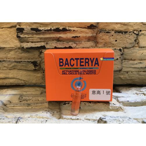 義大利EQUO 意高 1號  活性益生菌（BACTERYA） 單支