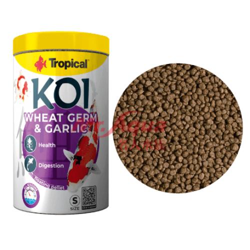 Tropical德比克 金魚錦鯉整腸蒜精飼料(健康版)1000ml