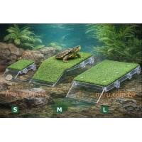 爬蟲先生 爬蟲先生 烏龜草坪爬台M