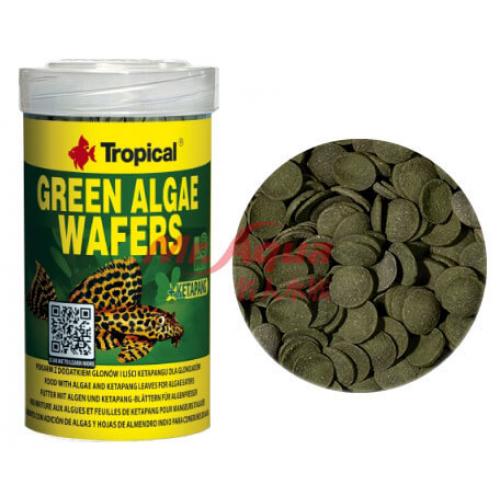 Tropical德比克異型 底棲魚完美主食1000ml
